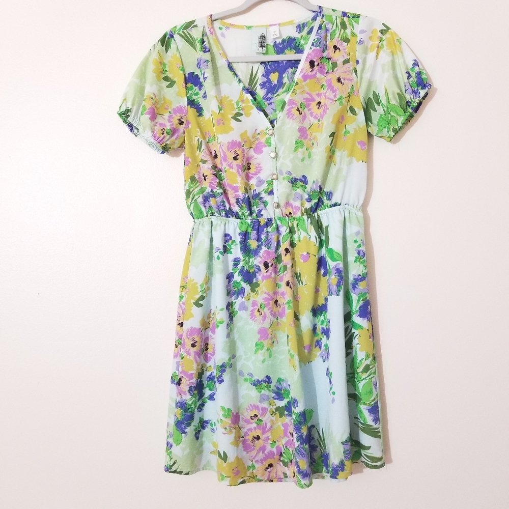 Dress I hand dyed and set the color, unsure brand